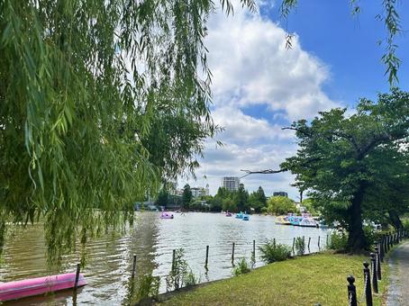上野公園　池の写真