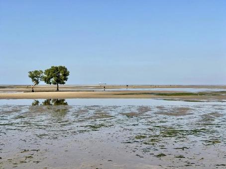 干潮の海 干潮の海の写真