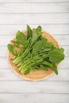 サラダほうれん草 サラダほうれん草,ほうれん草,野菜の写真素材