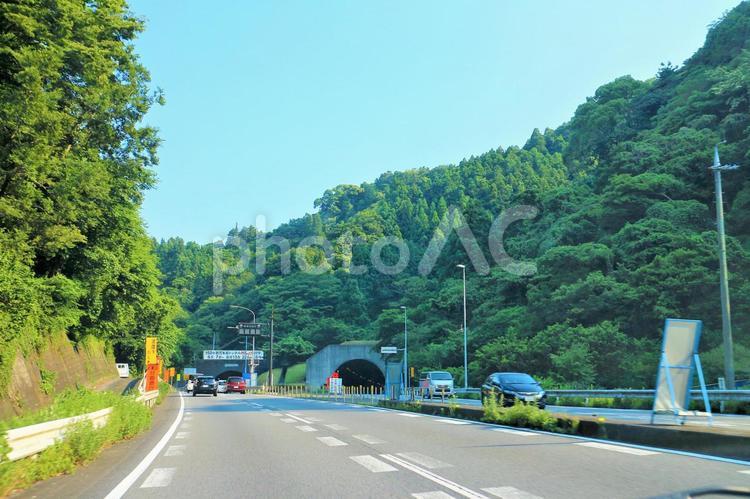 二つのトンネル　出口　入口　緑 トンネル,出口,入口の写真素材