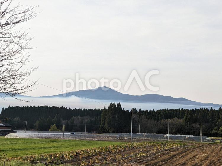 田畑の風景 風景,畑,田舎の写真素材
