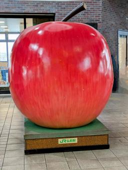 Photo, apple, object, red apple, 