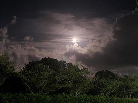 月夜 月,満月,夜の写真素材