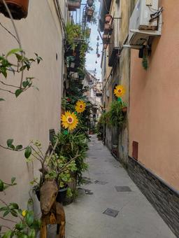 ランダッツォの街角 ランダッツォ,シチリア,イタリアの写真素材