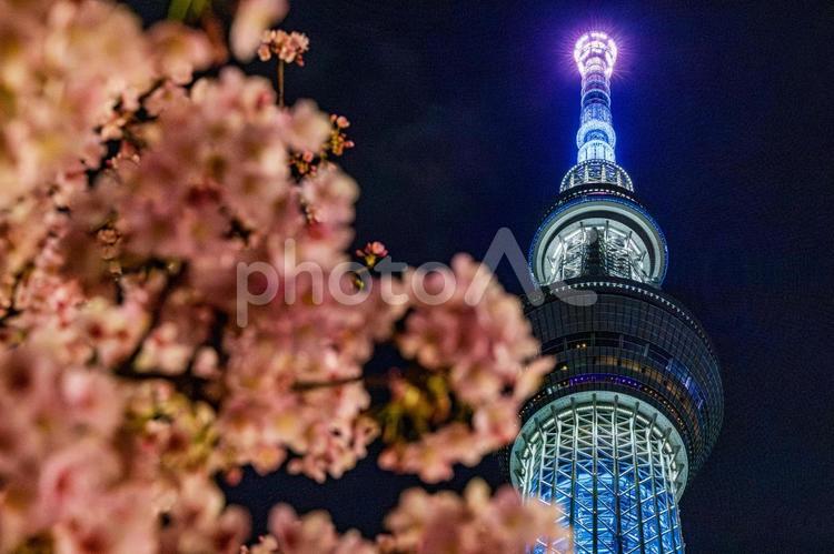 東京スカイツリー スカイツリー,ライトアップ,skytreeの写真素材