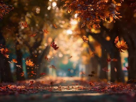 秋の道を彩る美しい紅葉 秋の道を彩る美しい紅葉の写真
