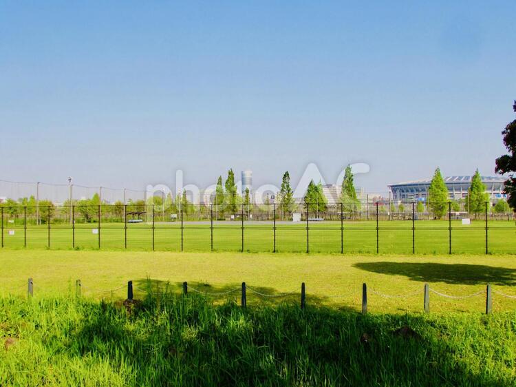 公園の緑のグランドと青空とスタジアム 公園,グランド,緑の写真素材