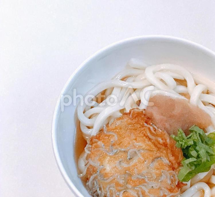 ぶっかけうどん ぶっかけうどん,たらこうどん,しらすさつま揚げの写真素材