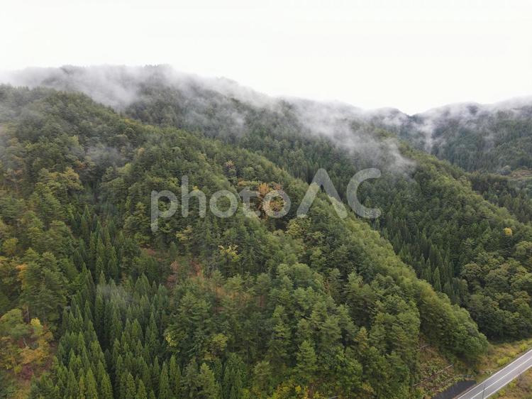 日本の森　奥飛騨 飛騨,森林飛騨,日本の森の写真素材
