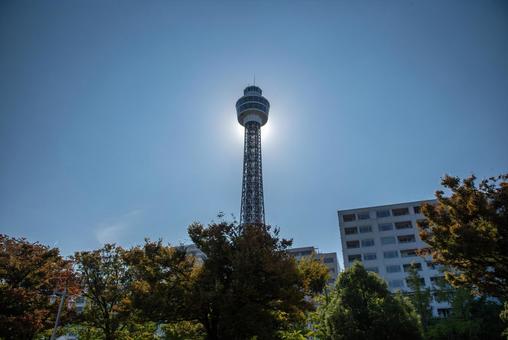逆光のマリンタワー（山下公園） 横浜マリンタワー,シンボル,タワーの写真素材