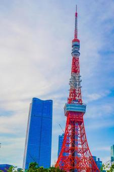 プリンス芝公園から東京タワー プリンス芝公園から東京タワーの写真