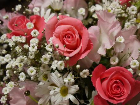 淡い色の花束 花,花束,植物の写真素材