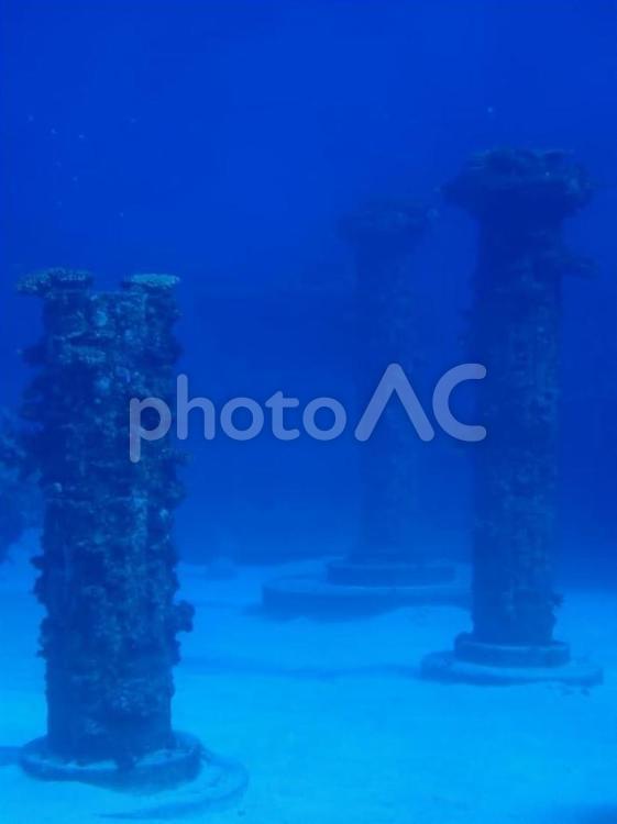 海の中のサンゴの柱 サンゴ,海中,柱の写真素材