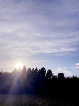 夕方 夕方の写真