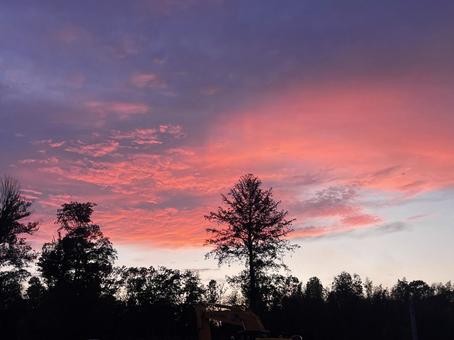 ピンク色の夕焼け空 ピンク色の夕焼け空 夕焼け,夕暮れ,空の写真素材