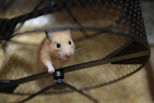 ひとやすみ。 ひとやすみ。の写真