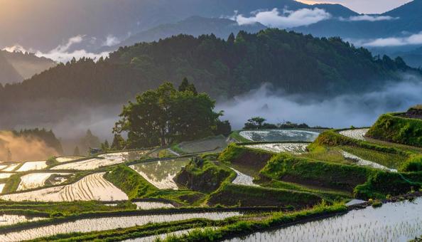 棚田・日本の原風景 棚田・日本の原風景の写真
