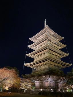 夜の東寺 夜の東寺 東寺,五重塔,ライトアップの写真素材