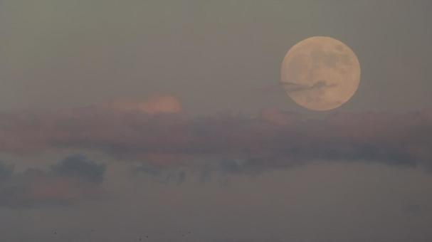 The moon dyed in silence, JPG The moon dyed in silence, JPG