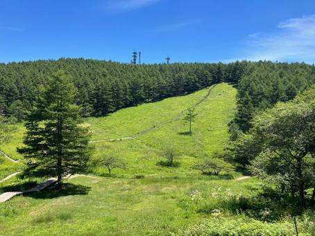 入笠山の入笠湿原風景 富士見,入笠山,湿原の写真素材