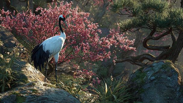 梅の花咲く木の下に立つタンチョウ 梅の花咲く木の下に立つタンチョウの写真