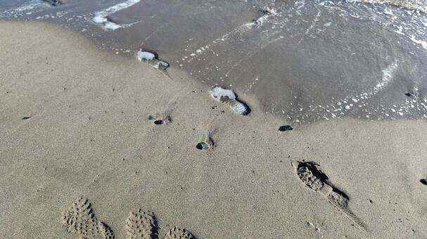 波打ち際の足跡 秋,海,浜の写真素材