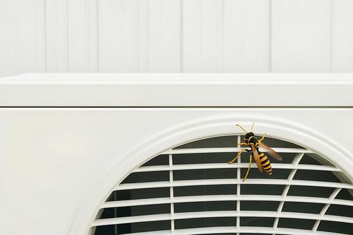 Wasps and potential nesting outdoor units 2, asianigakubi, make nest, the outdoor unit, JPG