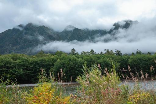 標高1500m 雨上がりの上高地 標高1500m 雨上がりの上高地 上高地,山,木の写真素材