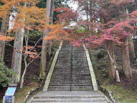 比叡山延暦寺 延暦寺,比叡山,世界遺産の写真素材
