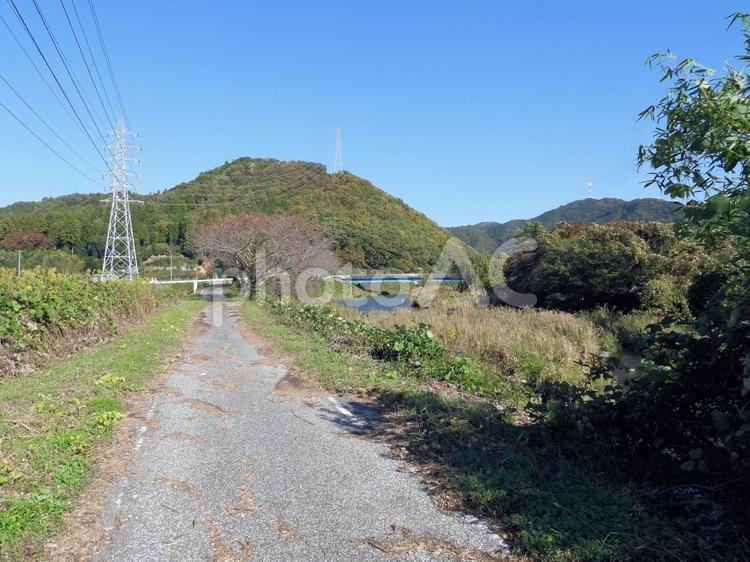 醒井の風景 醒ヶ井,滋賀県,醒井宿の写真素材