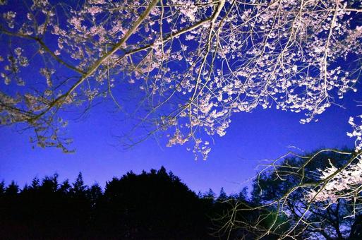 沈んで行く陽 沈んで行く陽の写真
