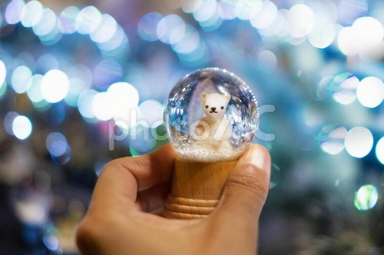 シロクマのスノードーム スノードーム,スノーグローブ,ガラスの写真素材