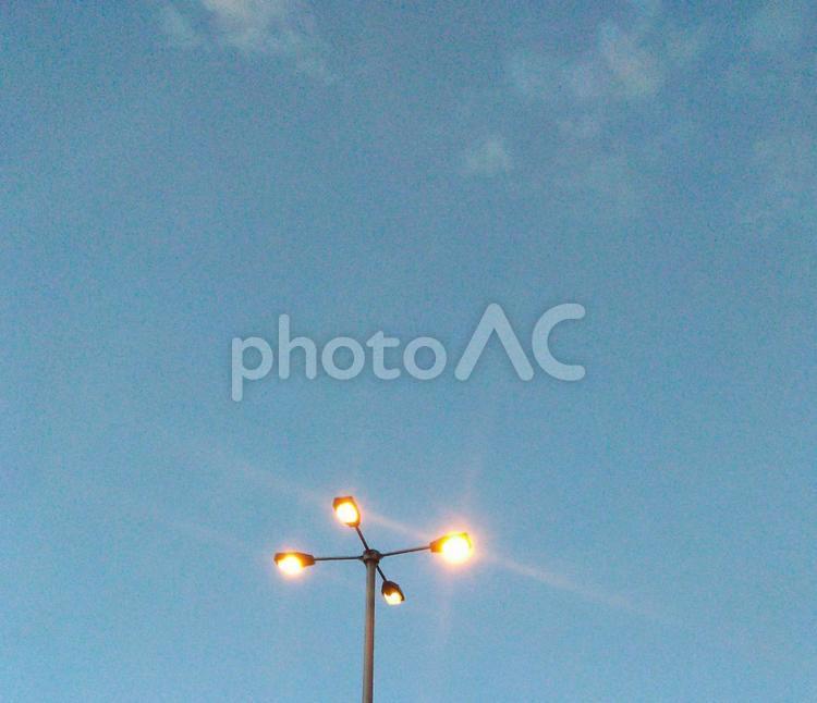 夕暮れの街灯 空,夕暮れ,街灯の写真素材