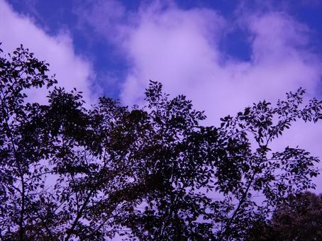 青空と雲を見上げる12の写真