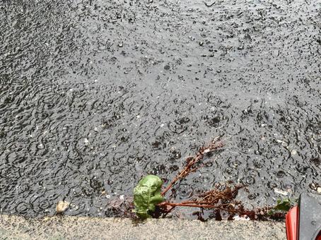 水たまり 水たまり 大雨,洪水,水たまりの写真素材