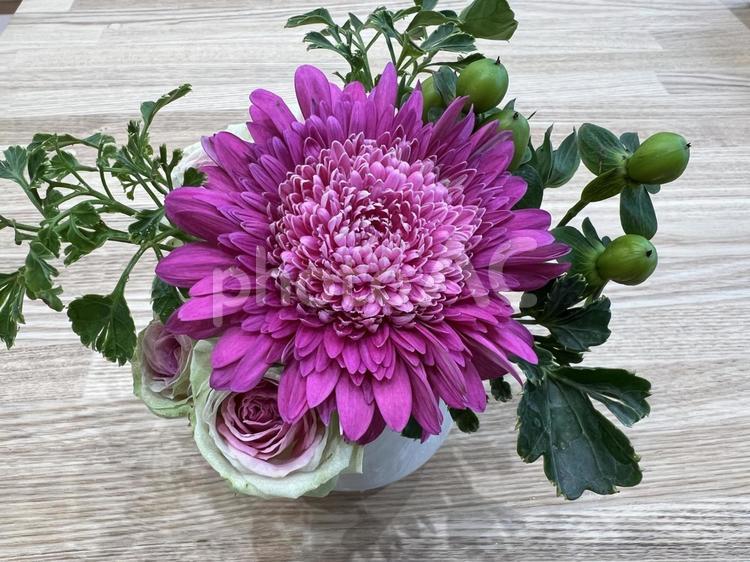 小さなアレンジ　ピンクのガーベラとバラ② ガーベラ,薔薇,花の写真素材