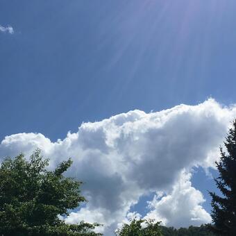 晴れた青空2の写真