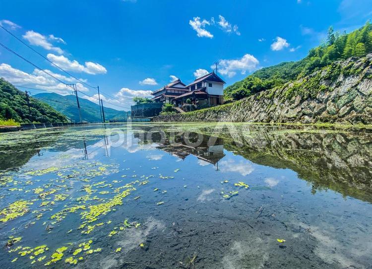 田舎の風景 夏,晴れ,空の写真素材
