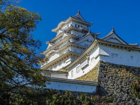 【兵庫県】姫路市・姫路城 姫路城,姫路公園,姫路市の写真素材