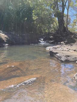 川遊び 海外,田舎,自然の写真素材