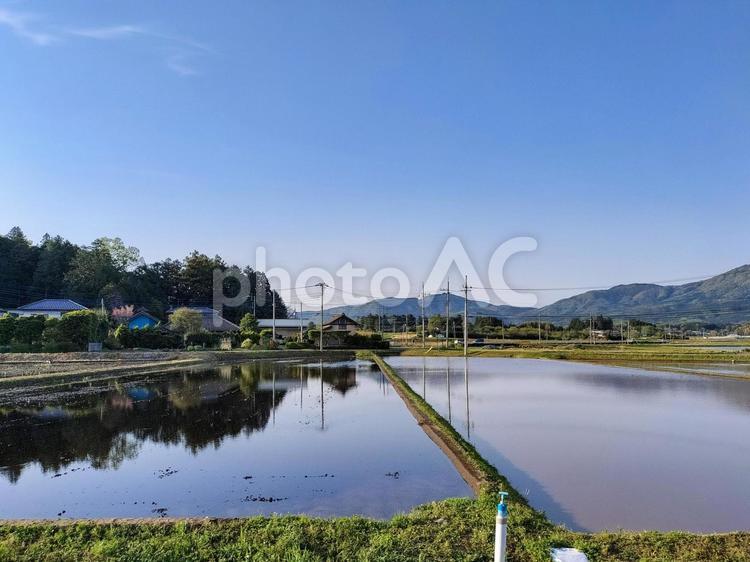 茨城県石岡市宇治会の春の水田風景 水田,田圃,田んぼの写真素材