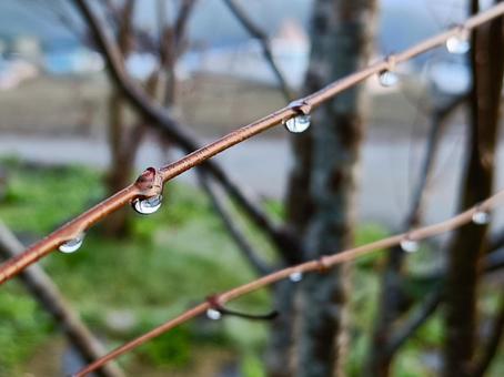 水滴 自然,風景,冬の写真素材
