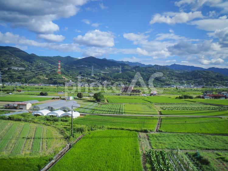 水田の有る風景 水田,景色,空の写真素材