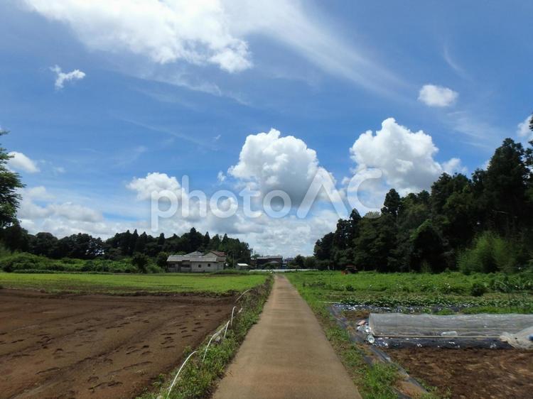 青い空と雲と歩道 空,雲,青い空の写真素材