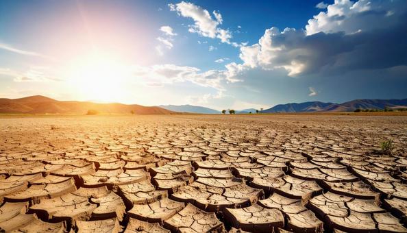 乾燥し、干からびた地面 乾燥し、干からびた地面の写真