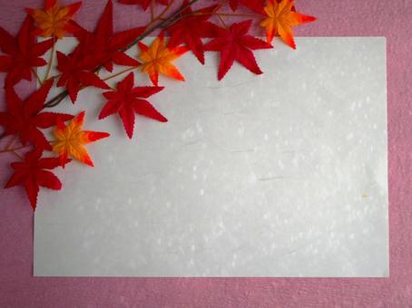 Autumn frame/Maple leaves, JPG