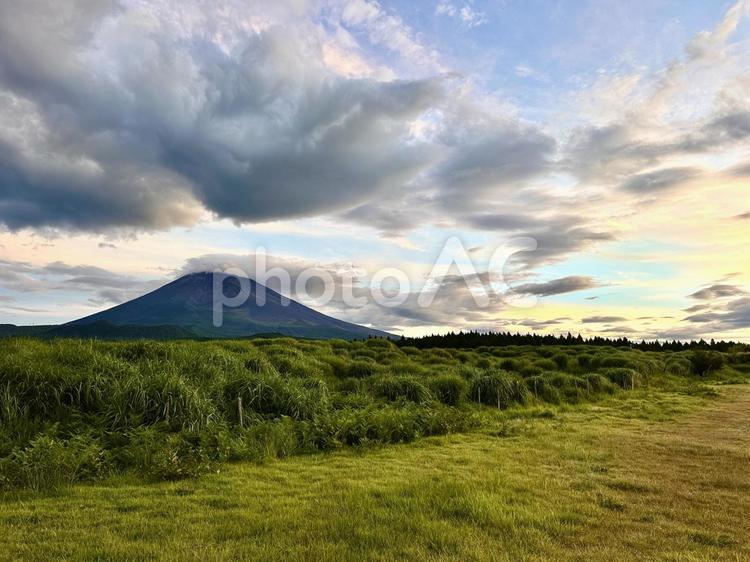真夏の朝の富士山と雲 富士山,雲,夏の写真素材