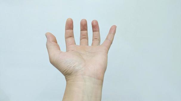 何かを掴もうとしている左手素材 何かを掴もうとしている左手素材の写真