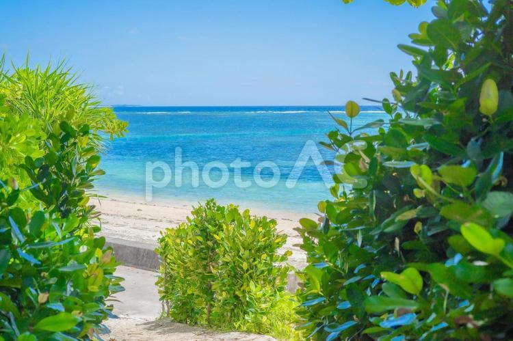 南国のキレイな青い海と空 海,沖縄,風景の写真素材