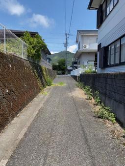 夏の路地裏 夏の路地裏 自然,夏,街並みの写真素材